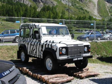un zebre a val d'isere